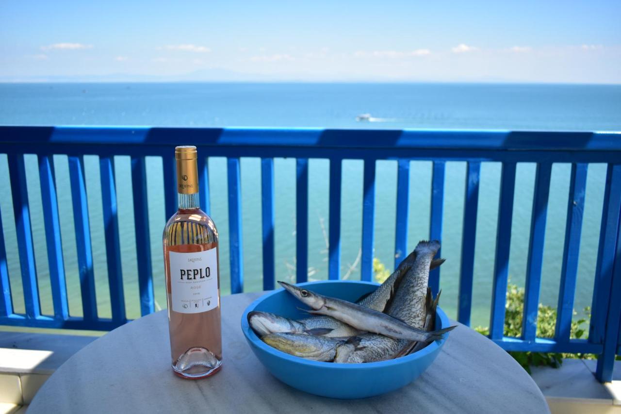 Navy Greece Villa With Swimming Pool & Sea View Makrygialos Bagian luar foto